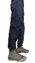 blue cargo 2.webp